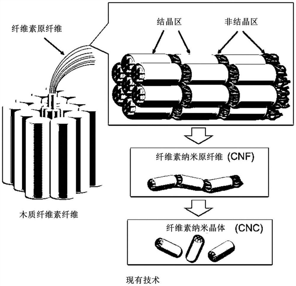 Microparticles comprising cellulose nanocrystals aggregated with proteins and cosmetic use thereof