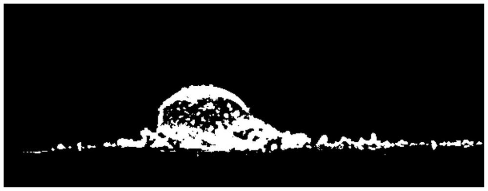 Microparticles comprising cellulose nanocrystals aggregated with proteins and cosmetic use thereof