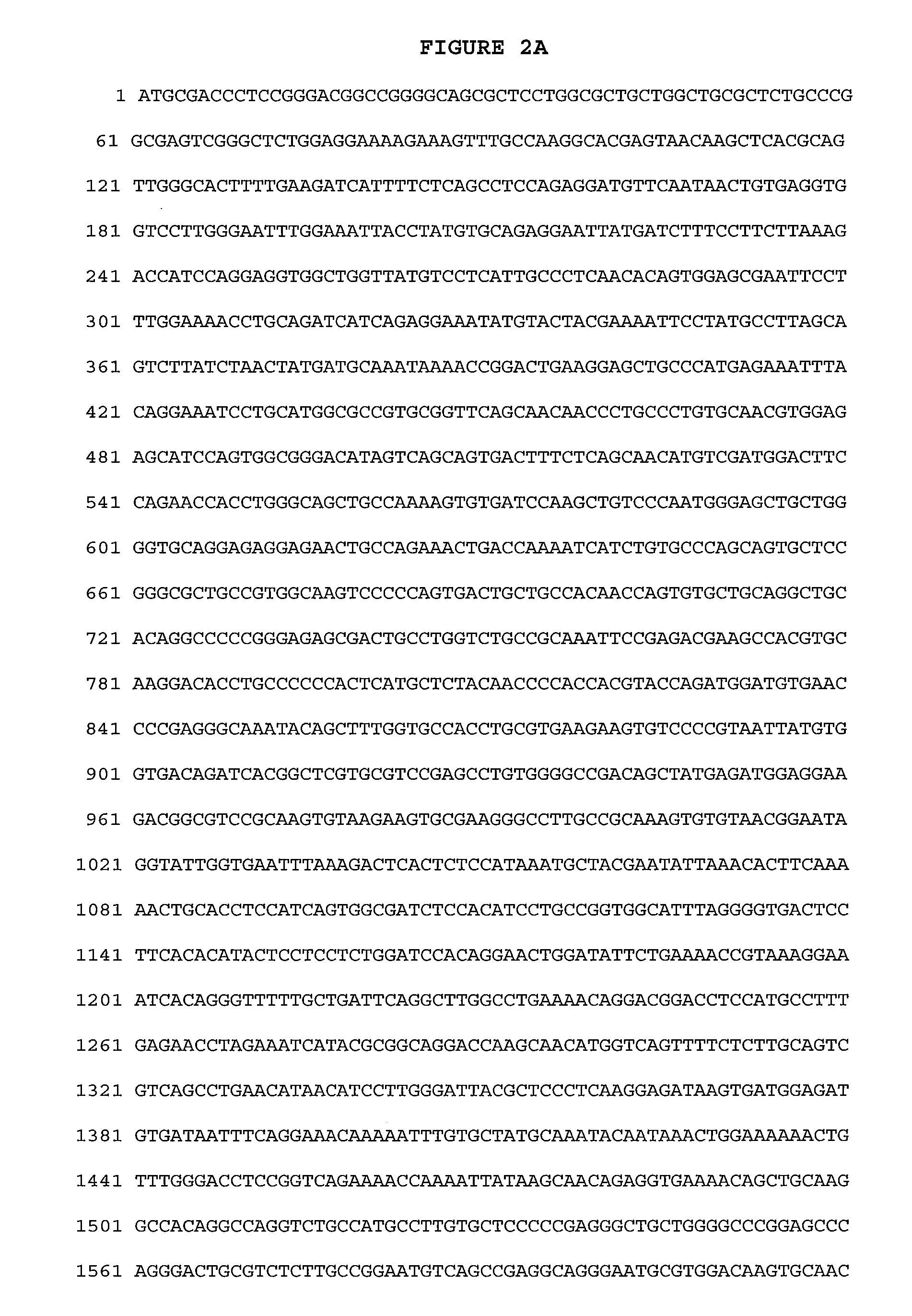 Use of G-Clamp for Improved Allele-SpecificPCR