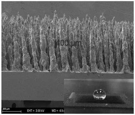 Super-hydrophobic surface with self-driven water collection function and preparation method thereof