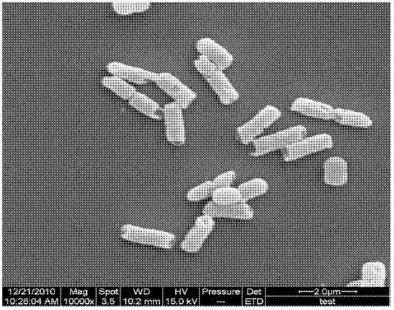 Acinetobacter baumannii capable of efficiently degrading imazamox