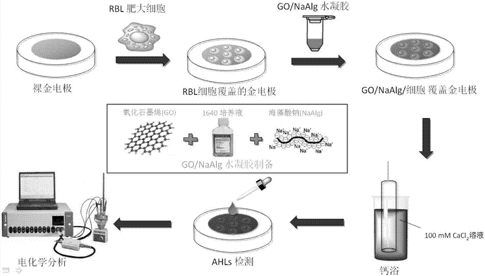 Cell-based biosensor used for detection of bacterial-colony signal molecules and preparation method and application of cell-based biosensor