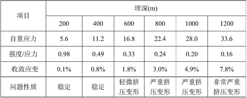 In-situ test method and structure for deeply-buried soft-rock tunnel