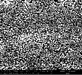 Styrene modified polyvinyl acetate emulsion and preparation method