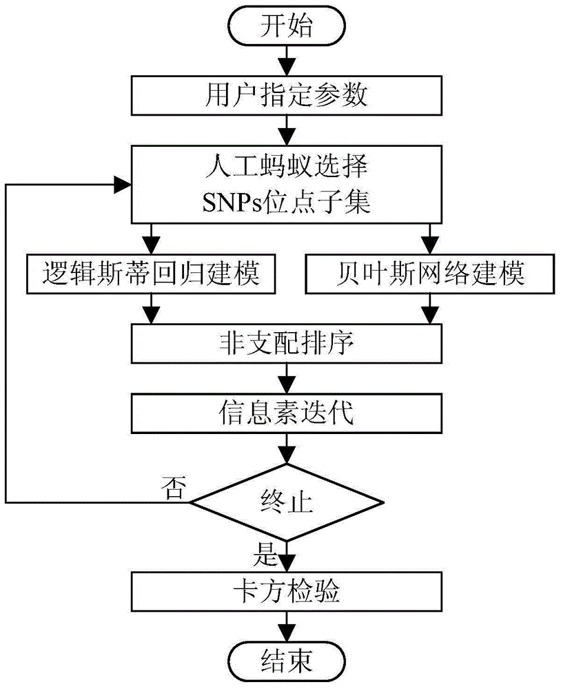 Genetic locus excavation method based on multi-target ant colony optimization algorithm