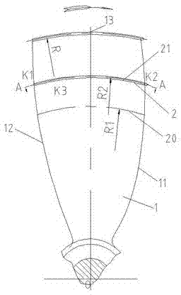 Radial turbulence preventing ship propeller