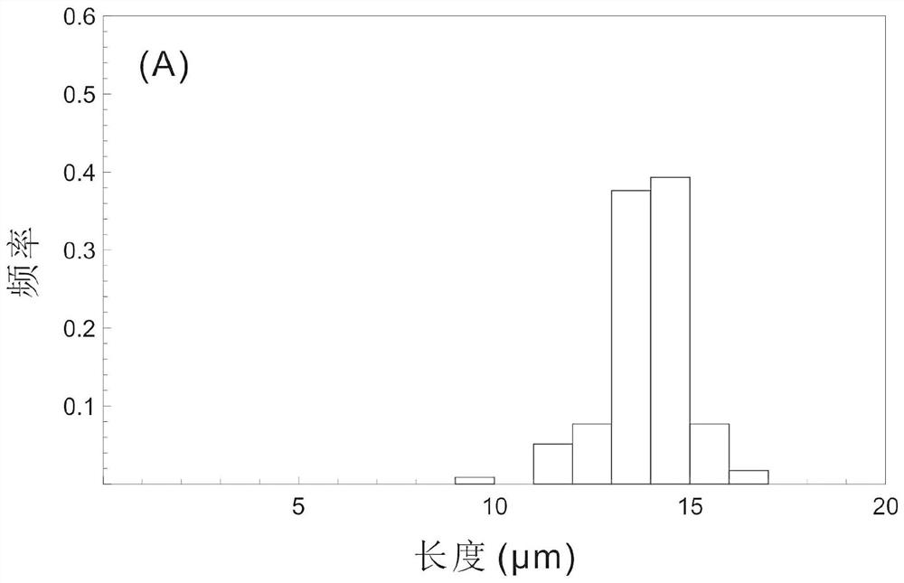 Thermal history simulation method and system based on fission track length distribution on vertical section