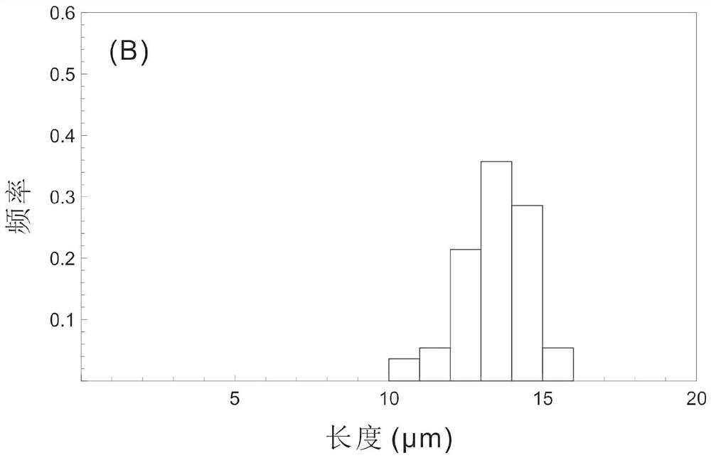 Thermal history simulation method and system based on fission track length distribution on vertical section