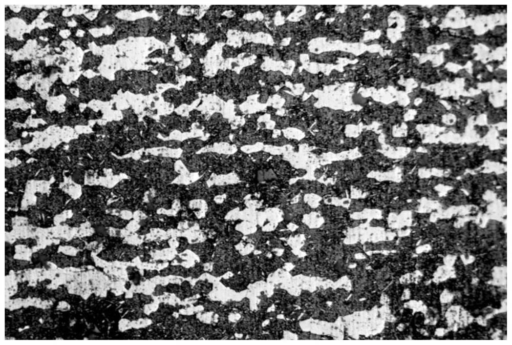 High-plasticity magnesium alloy and preparation method thereof