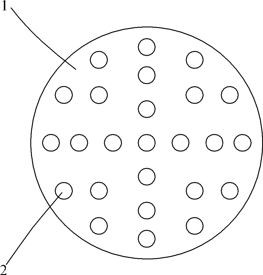 Water purifier and liquid homogenizing component for same