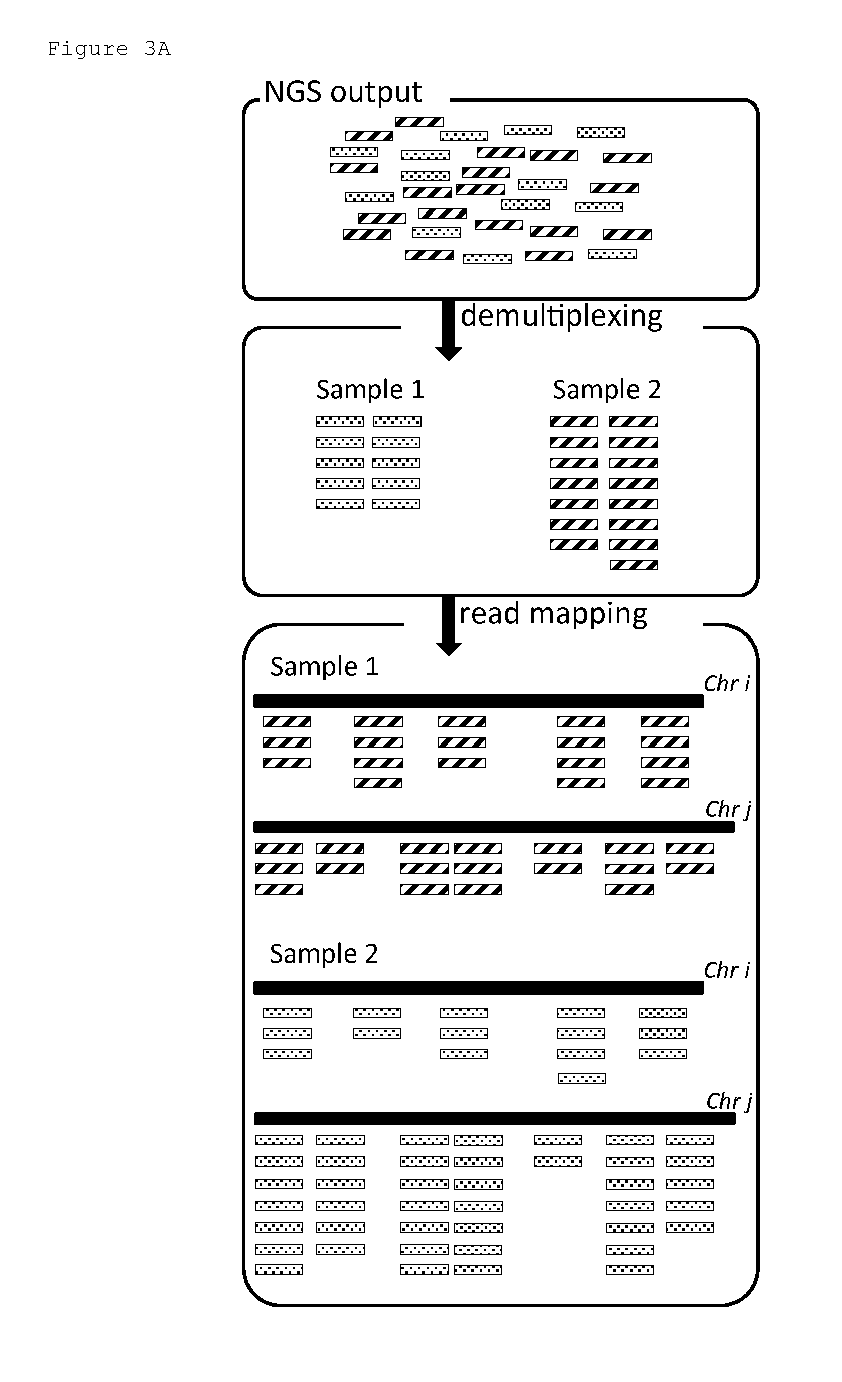 Genetic analysis method