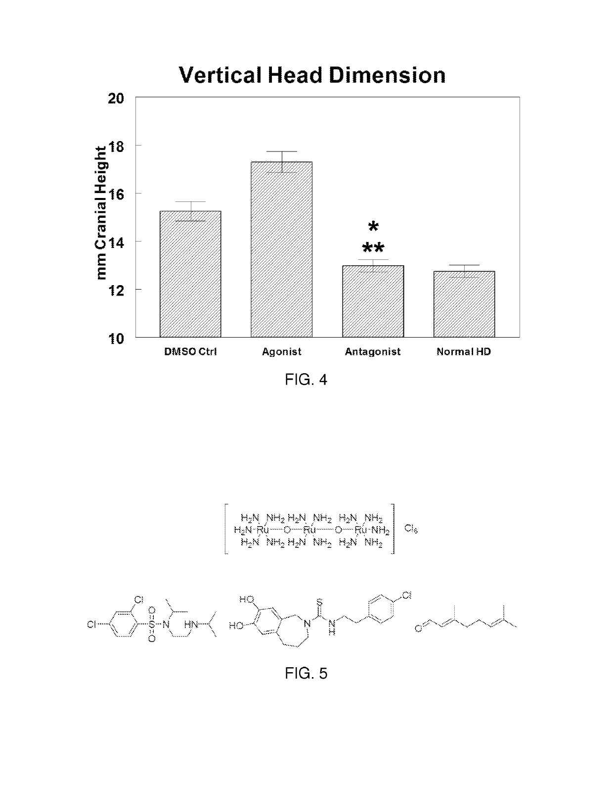 Use of TRPV4 antagonists to ameliorate hydrocephalus and related materials and methods