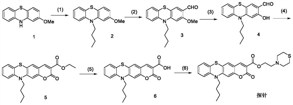 A lysosome-targeted ratiometric hypochlorous acid fluorescent probe