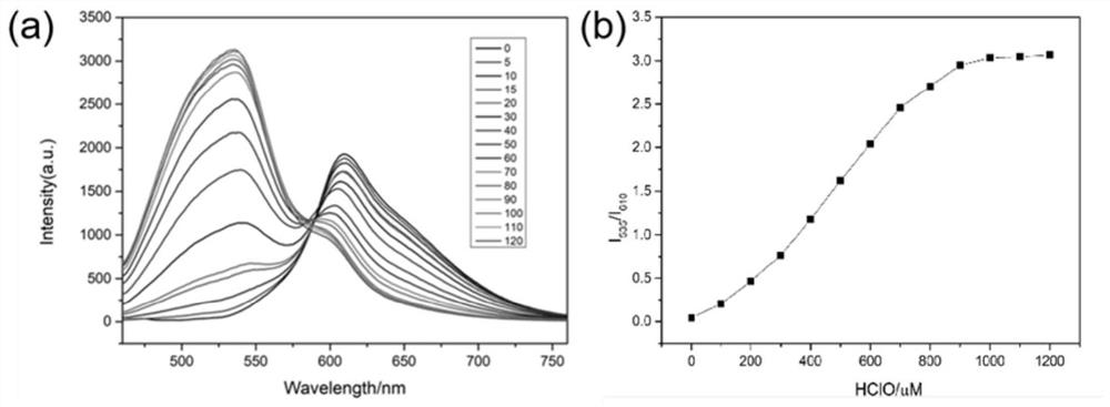 A lysosome-targeted ratiometric hypochlorous acid fluorescent probe