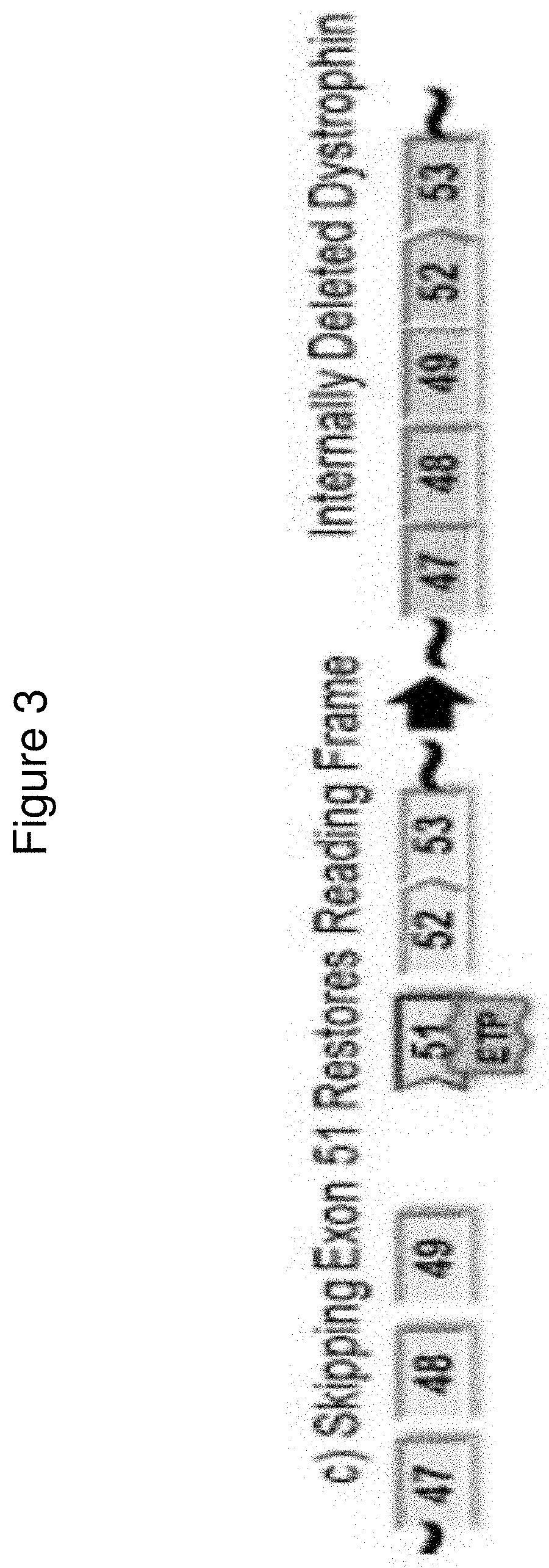 Exon skipping oligomer conjugates for muscular dystrophy