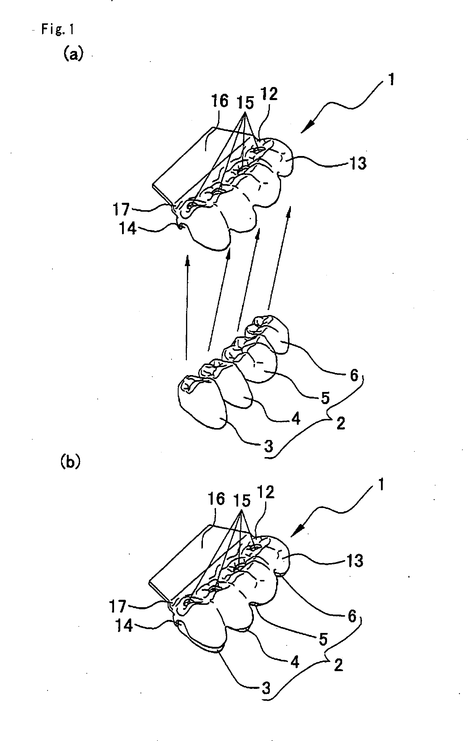 Shell plate for artificial teeth with arrangement assisting function