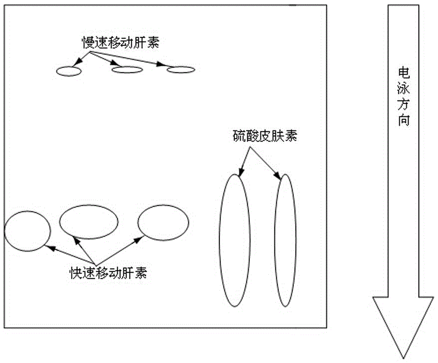 Method for fast separating fast-moving heparin and dermatan sulfate