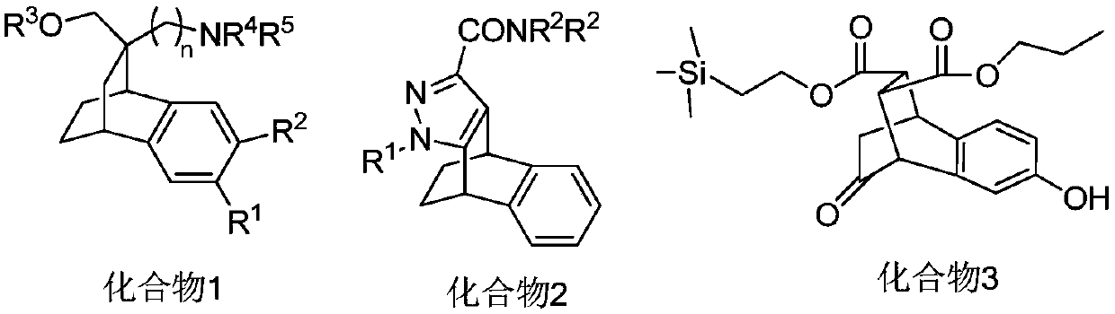 Polysubstituted benzo bicyclo[2.2.2]octane derivative and preparation method thereof