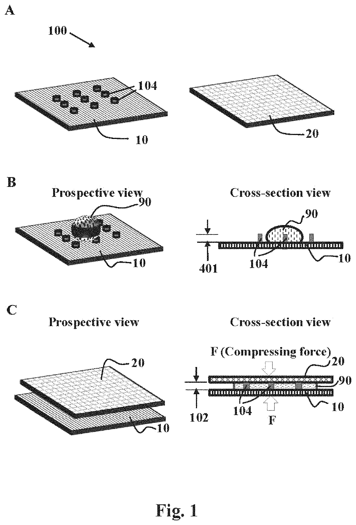 Sample collection and handling for delayed analysis