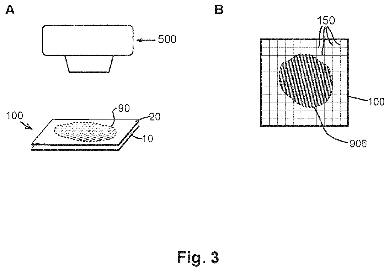 Sample collection and handling for delayed analysis