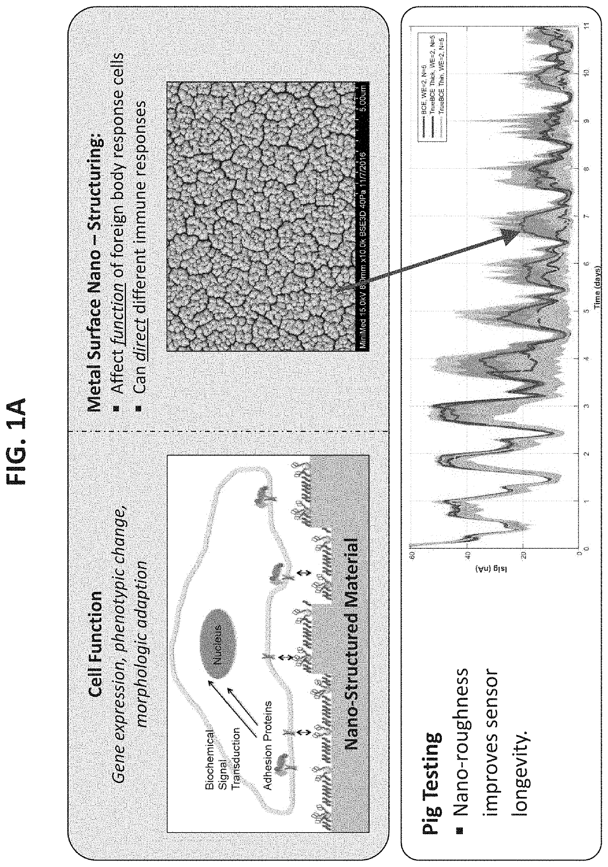 Reducing sensor foreign body response via high surface area metal structures