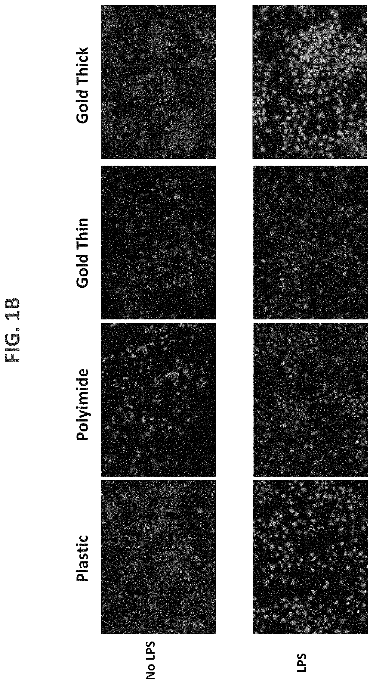 Reducing sensor foreign body response via high surface area metal structures