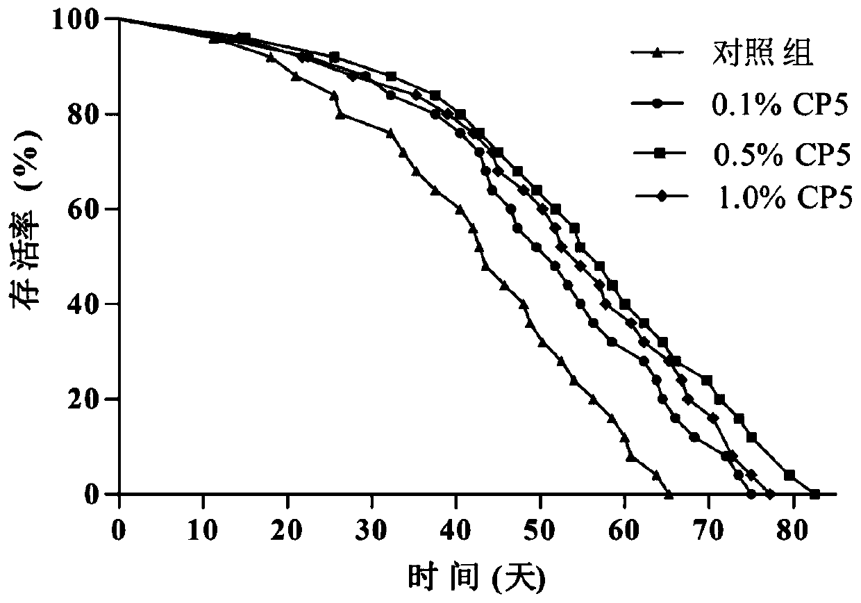 Isaria cicadae Miq extractives and application thereof for preparing antioxidant drug