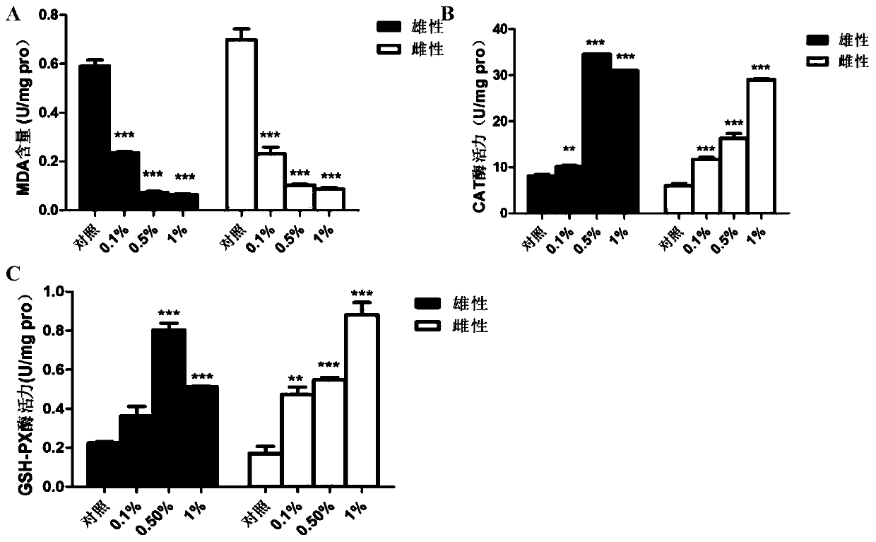 Isaria cicadae Miq extractives and application thereof for preparing antioxidant drug