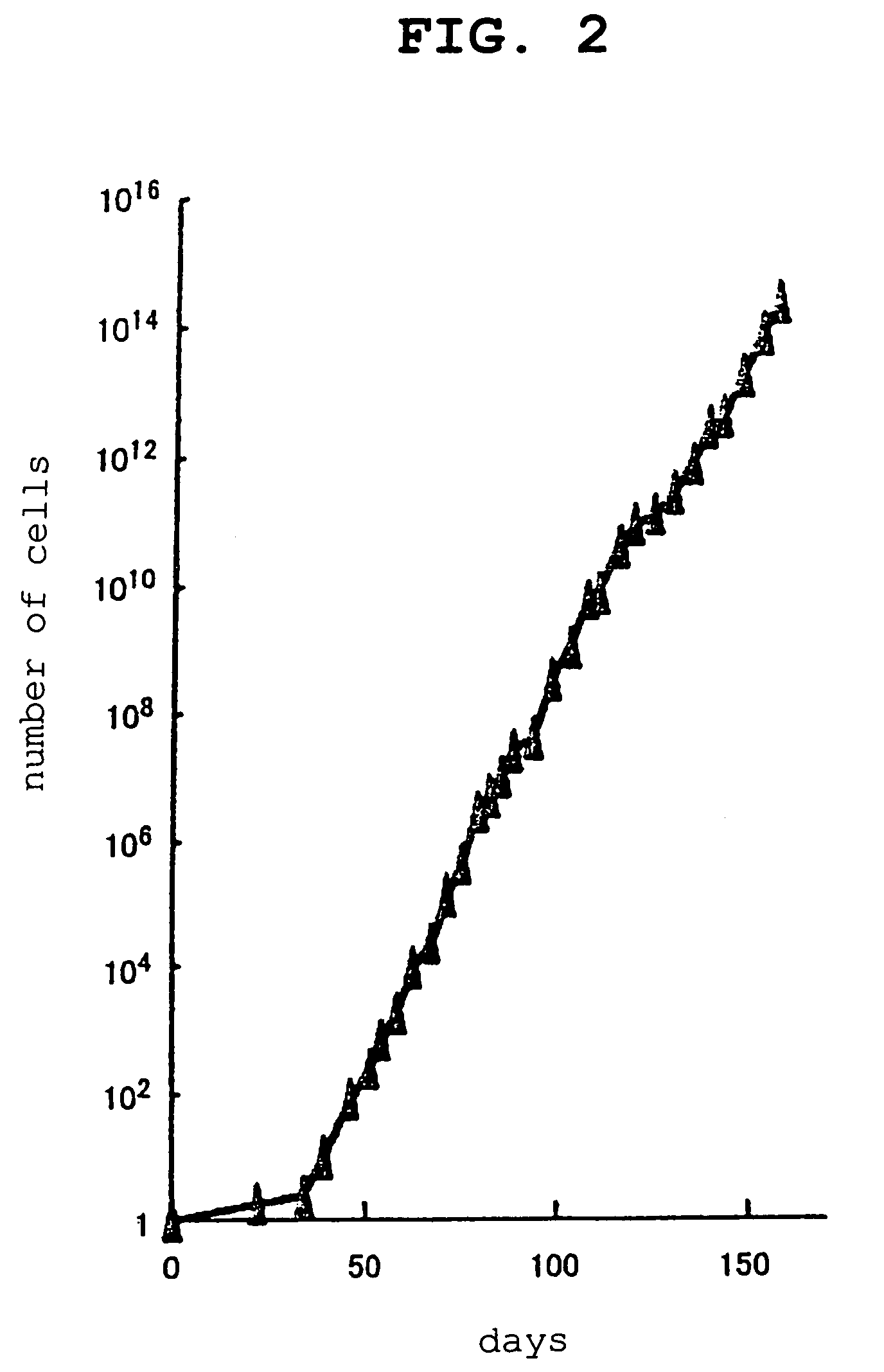 Method of growing sperm stem cells in vitro, sperm stem cells grown by the method, and medium additive kit to be used in growing sperm stem cells in vitro