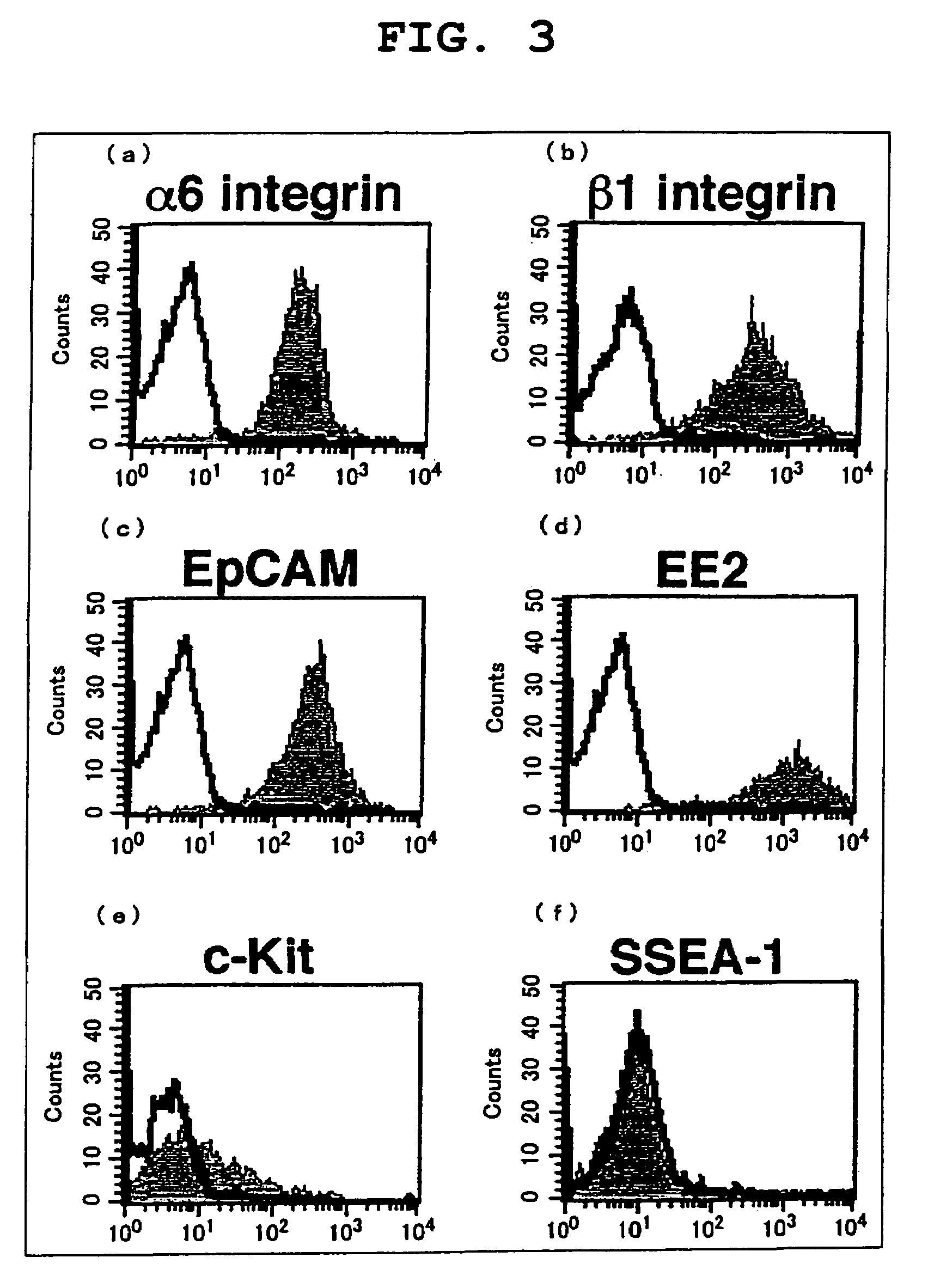 Method of growing sperm stem cells in vitro, sperm stem cells grown by the method, and medium additive kit to be used in growing sperm stem cells in vitro