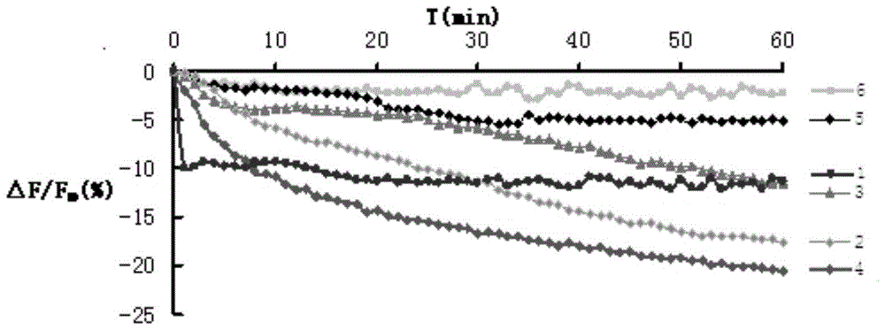 Preparation method for algae solution used for determining chlorophyll content through fluorescence method