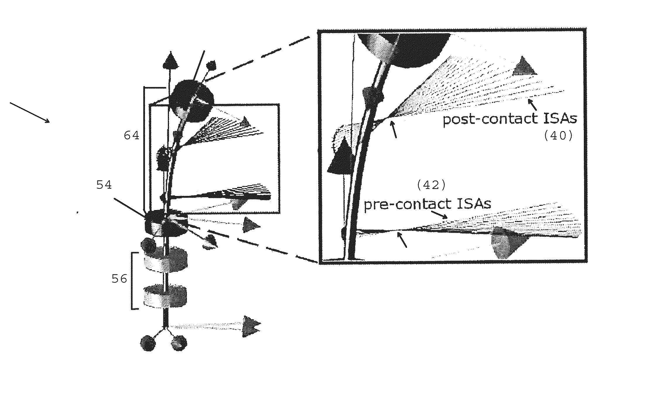 Method and system for contact detection and contact localization along continuum robots