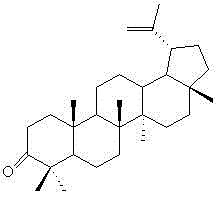 Application of lupenone to products for preventing or treating diabetes mellitus