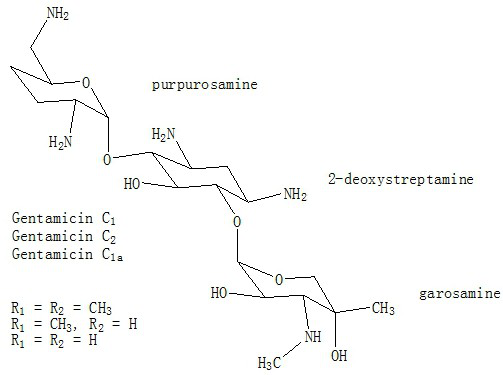 Construction and Application of Engineering Bacteria Mainly Producing Gentamicin c1a