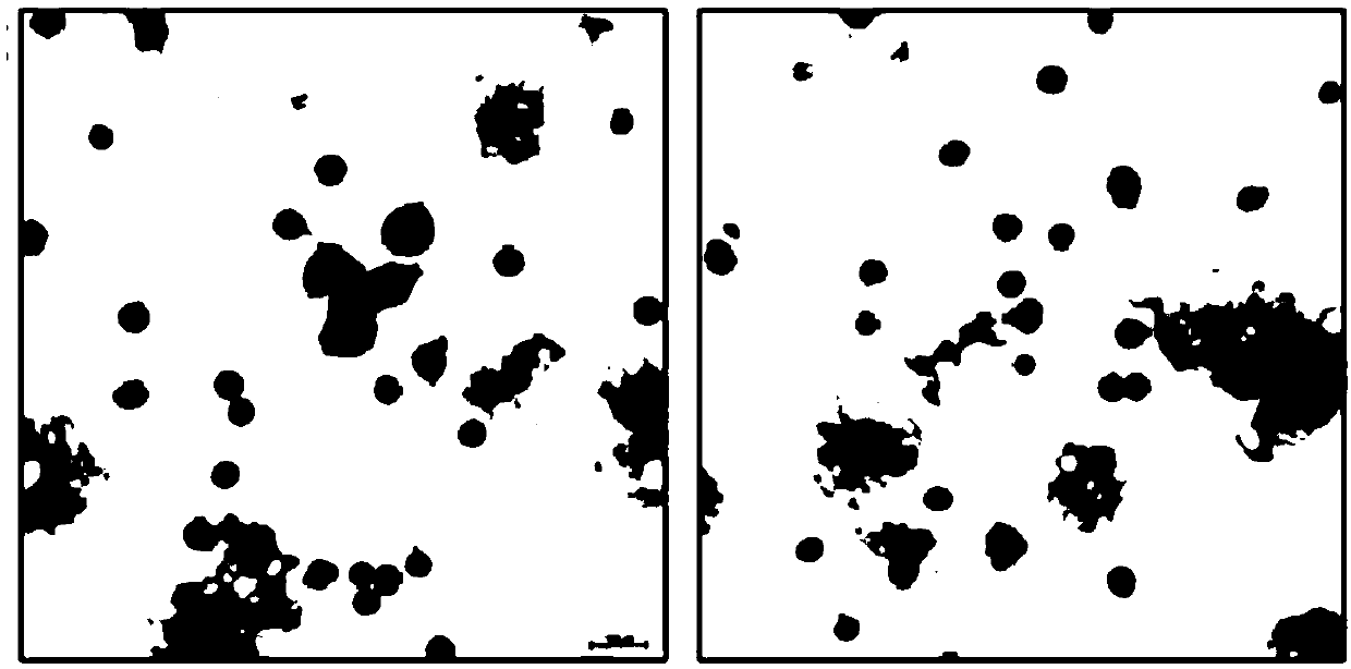 Application of MDSCs in constructing BA animal model and construction method of BA mouse model