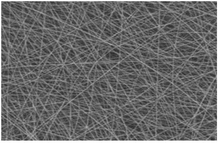 Preparation method of collagen membrane