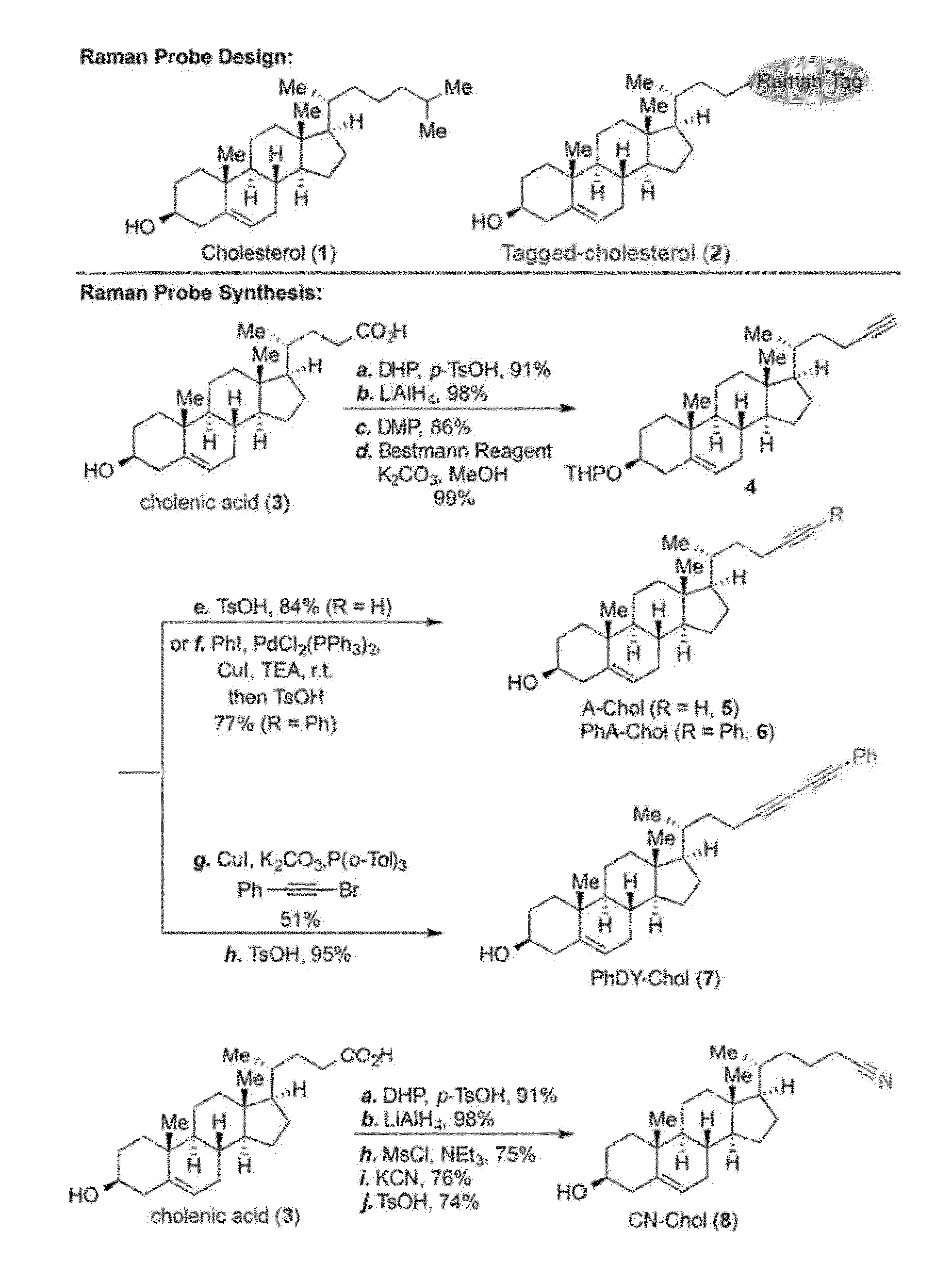 Raman Tag