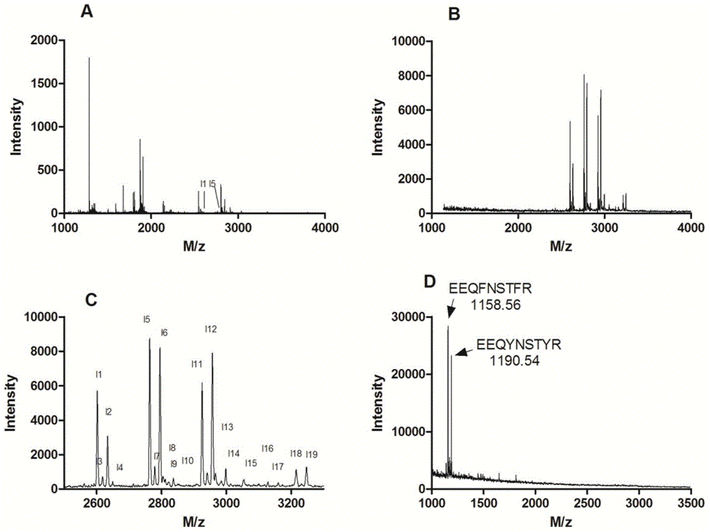 Method for enriching and purifying glycosylation peptides by nano chitosan derivative