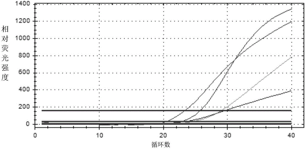 Primers, probes, kit and method for detecting proteus mirabilis