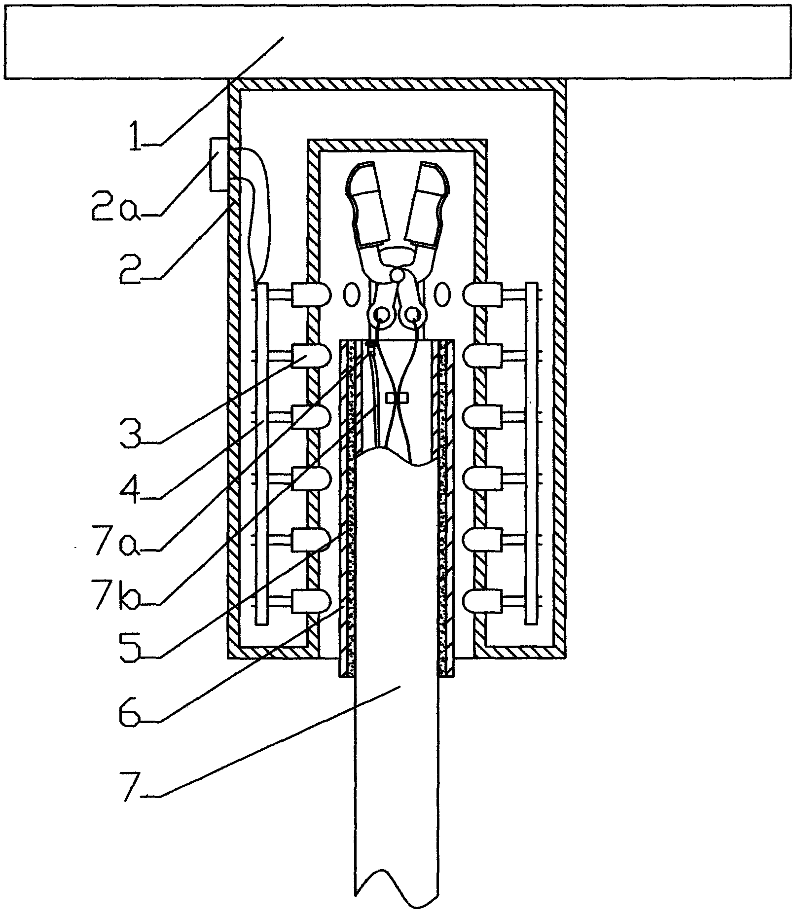 Light-storing illumination biopsy forceps