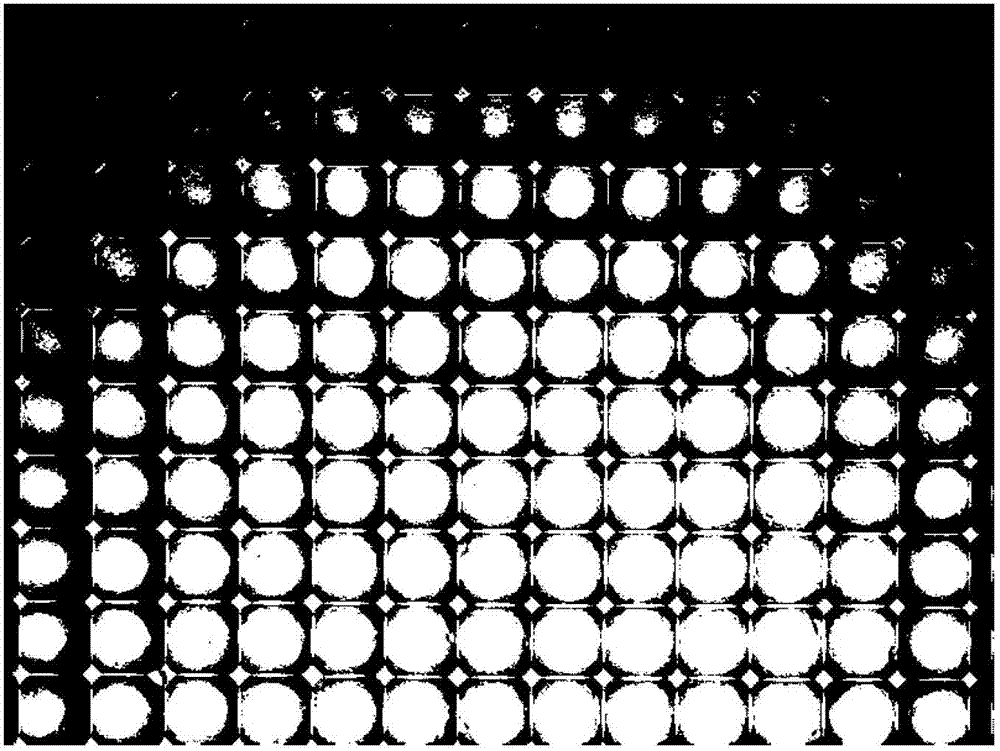 Method for enhancing chemical etching through femtosecond laser to manufacture large-scale micro-lens array