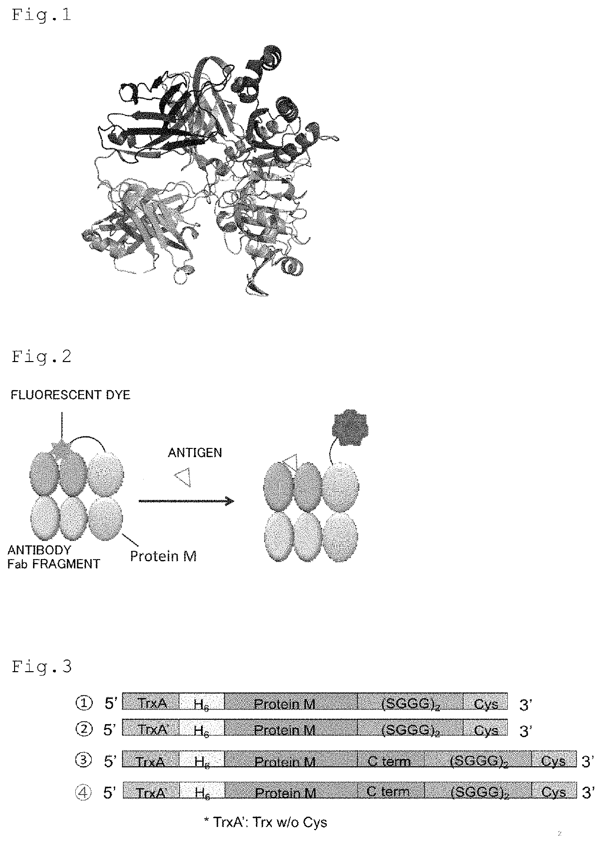 Kit for detecting antigen or measuring its amount