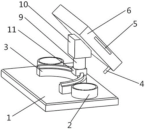 Plant hydro-culture device exposed to the sun