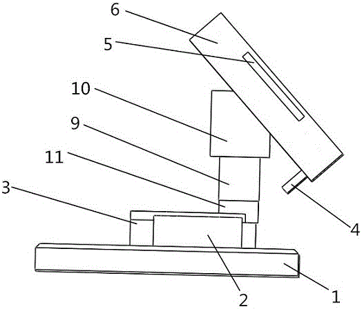 Plant hydro-culture device exposed to the sun