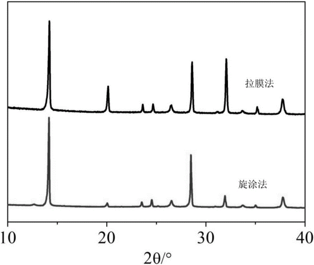 Preparation method and application of perovskite thin film