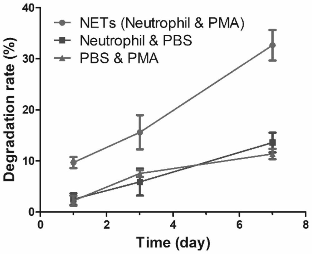 Neutrophil extracellular sterilization network responsive drug-loaded gel and preparation method and application method thereof