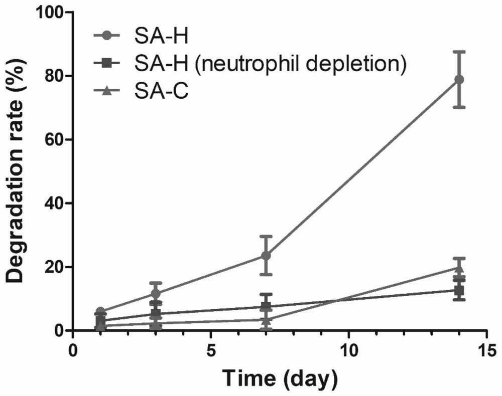 Neutrophil extracellular sterilization network responsive drug-loaded gel and preparation method and application method thereof