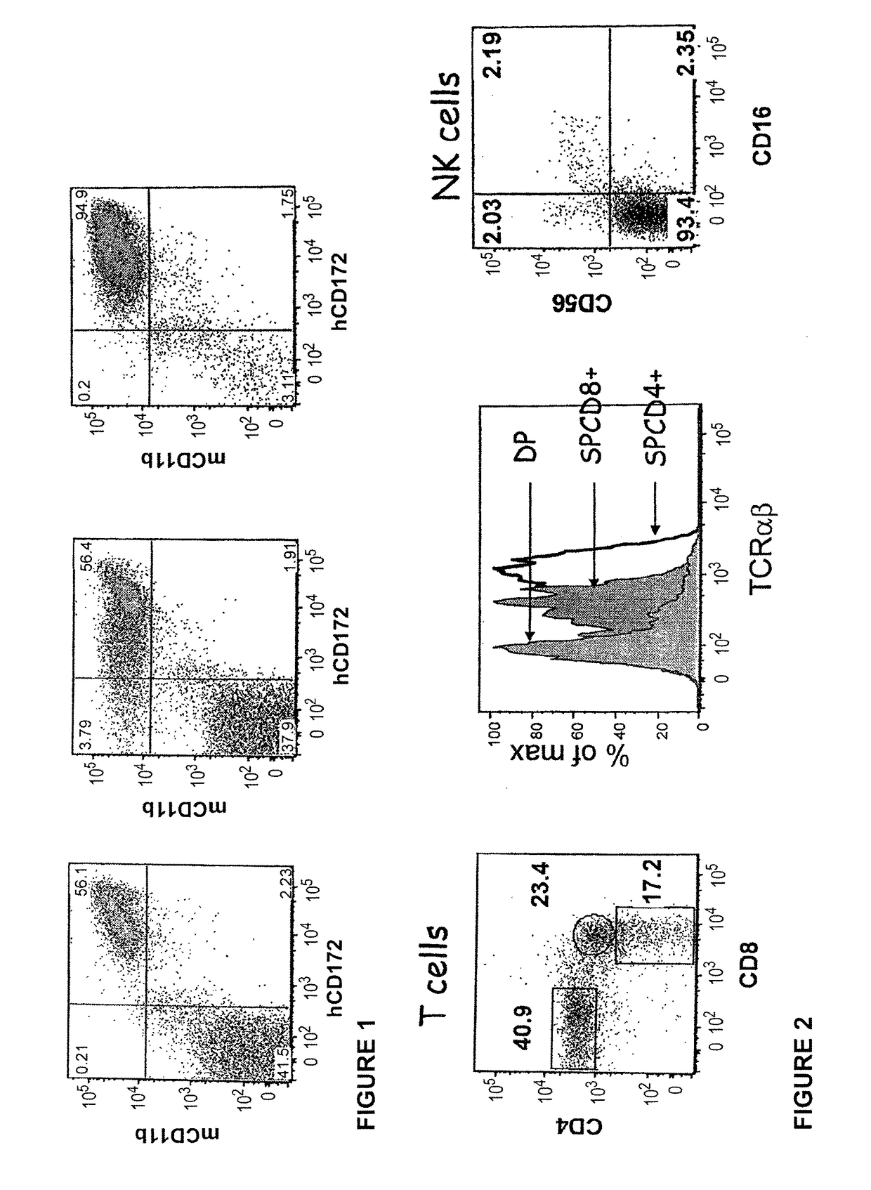 Transgenic immunodeficient mouse expressing human SIRP-alpha