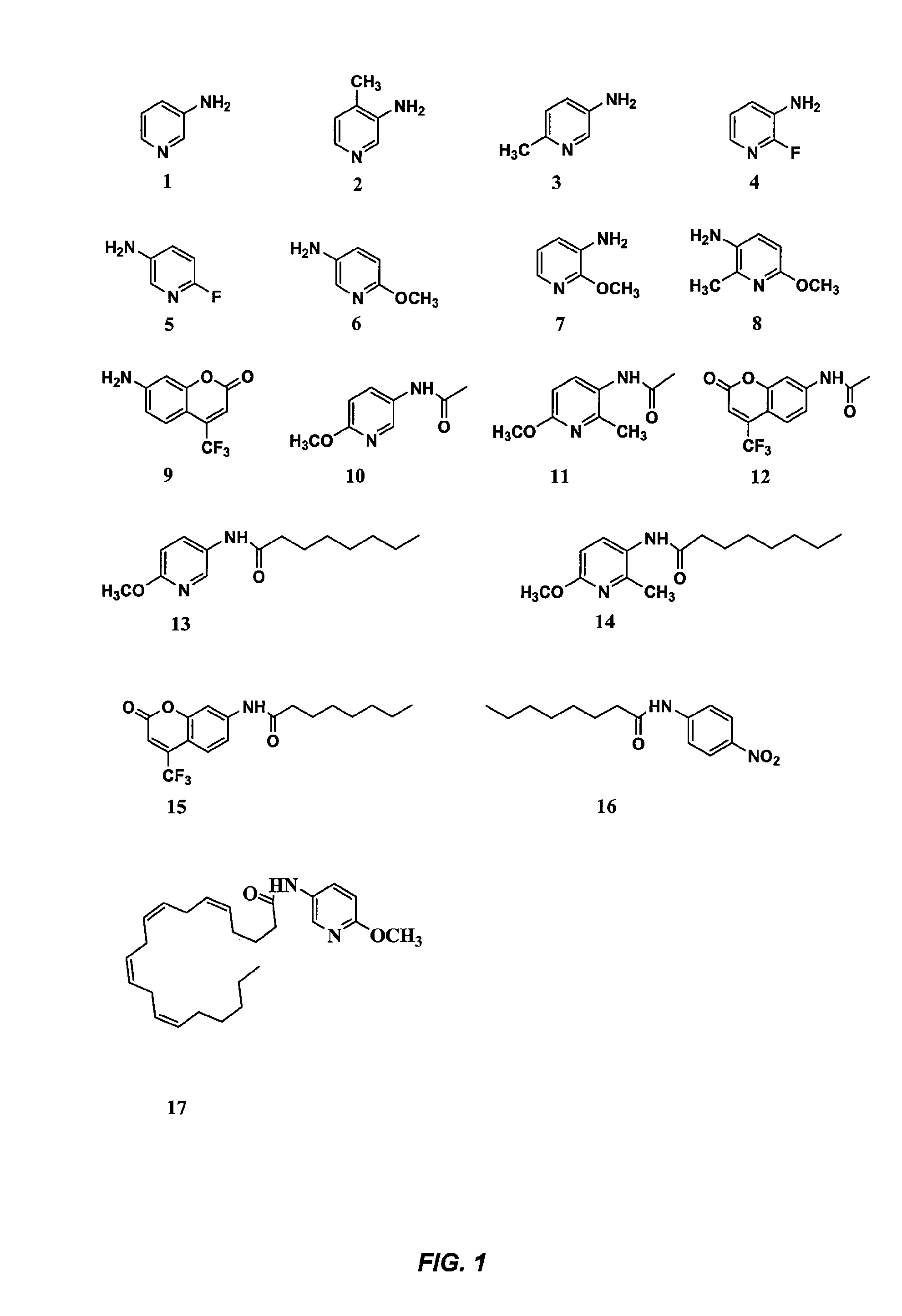 Substituted Aminopyridines as Fluorescent Reporters for Amide Hydrolases