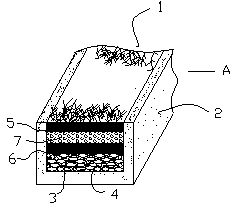 River and lake water greening and purifying method and river and lake water greening and purifying device